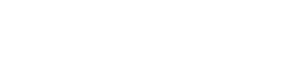 MNT Inspection Services logo